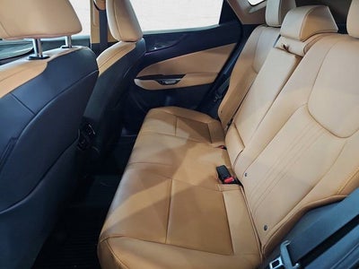 2024 Lexus NX NX 350 Premium