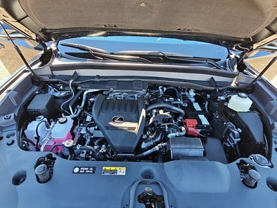 2025 Lexus TX 350 Premium