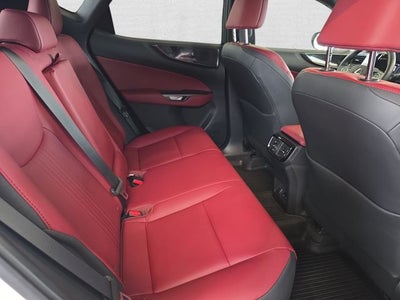 2025 Lexus NX 250 Base