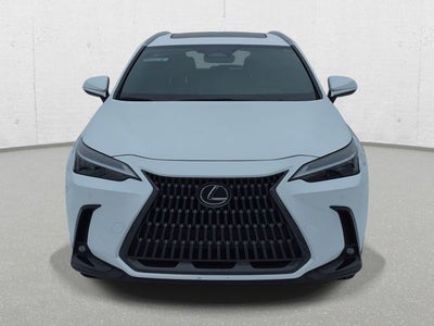 2025 Lexus NX 250 Base