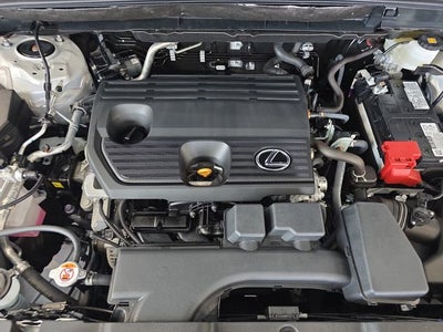 2025 Lexus NX 250 Base