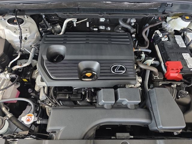 2025 Lexus NX 250 Base