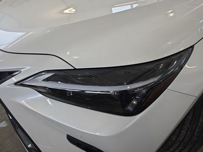 2025 Lexus NX 250 Base