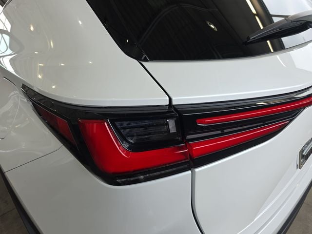 2025 Lexus NX 250 Base