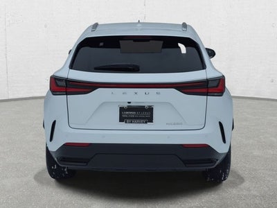 2025 Lexus NX 250 Base