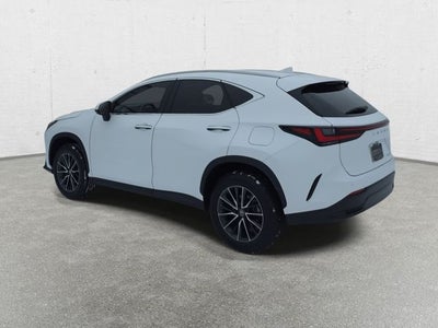 2025 Lexus NX 250 Base