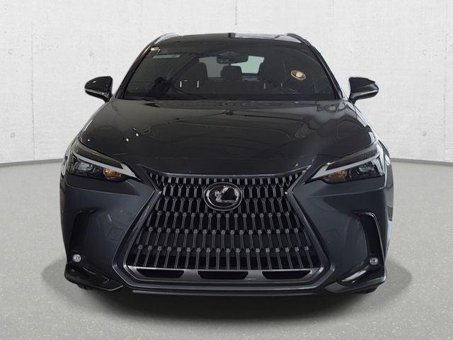 2024 Lexus NX 350 Base