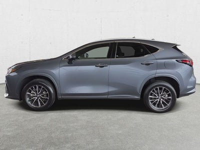 2024 Lexus NX 350 Base