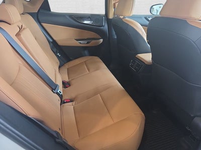 2024 Lexus NX 350 Base