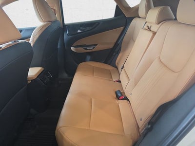 2024 Lexus NX 350 Base