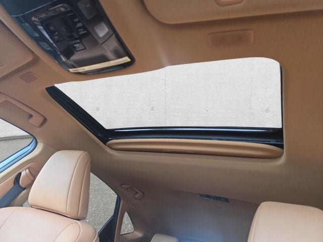 2024 Lexus NX 350 Base