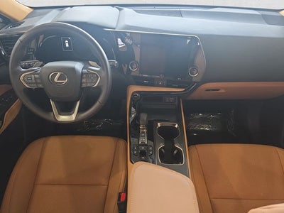 2024 Lexus NX 350 Base