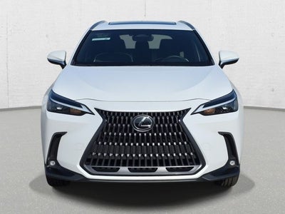 2024 Lexus NX 350 Base
