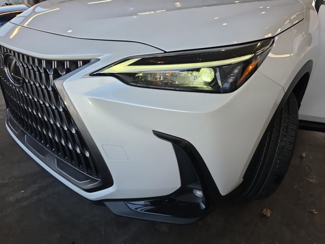 2024 Lexus NX 350 Base
