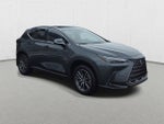 2025 Lexus NX 350h Base
