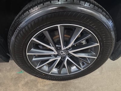 2025 Lexus NX 350h Base