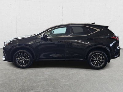 2024 Lexus NX 350 Premium