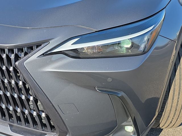 2022 Lexus NX 350 Premium