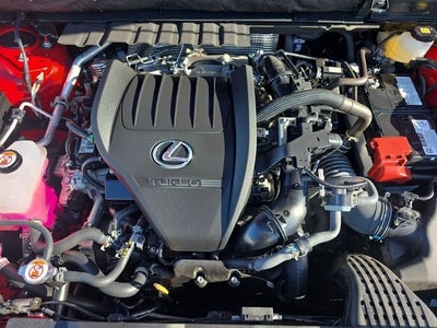 2025 Lexus NX 350 Premium