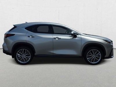 2023 Lexus NX 350 Luxury