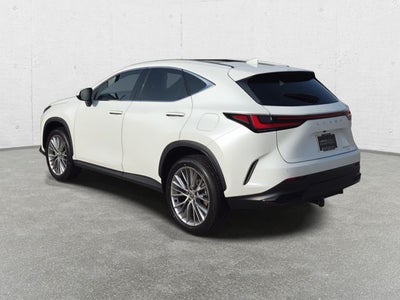 2024 Lexus NX 350 Luxury