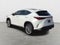 2024 Lexus NX 350 Luxury