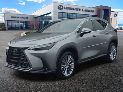 2024 Lexus NX 350h Luxury