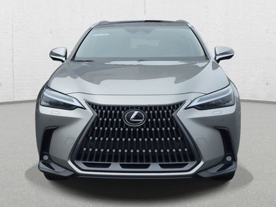 2024 Lexus NX 350h Luxury