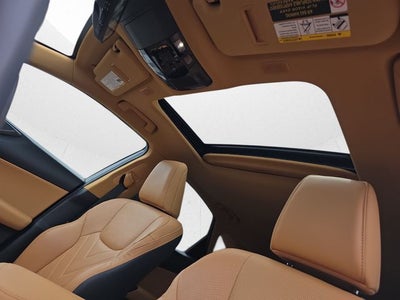 2024 Lexus NX 350h Luxury