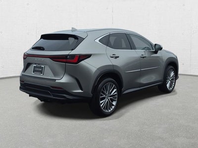 2024 Lexus NX 350h Luxury