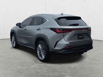 2024 Lexus NX 350h Luxury