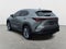2024 Lexus NX 350h Luxury