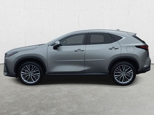 2024 Lexus NX 350h Luxury