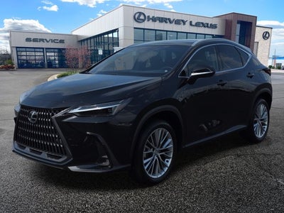 2025 Lexus NX 350h Luxury