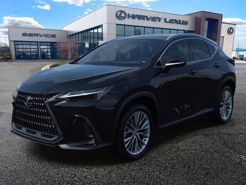 2025 Lexus NX 350h Luxury