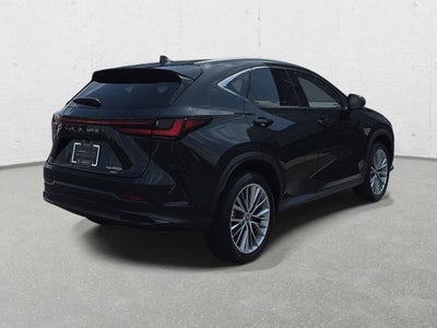 2025 Lexus NX 350h Luxury