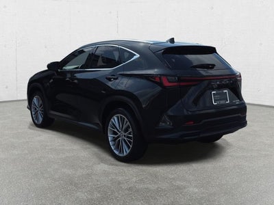 2025 Lexus NX 350h Luxury