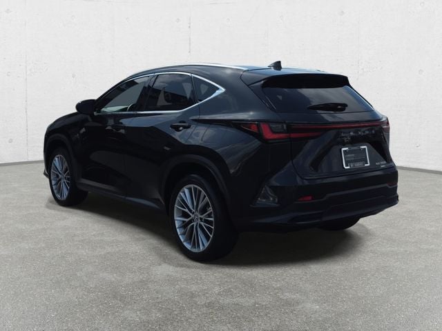 2025 Lexus NX 350h Luxury