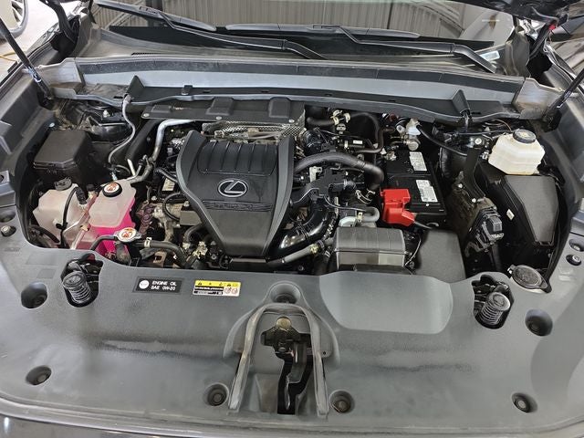 2024 Lexus TX 350 Luxury