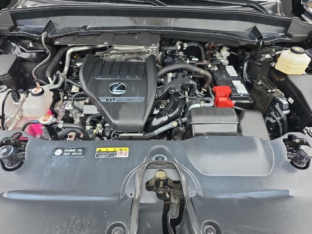 2025 Lexus TX 350 Luxury