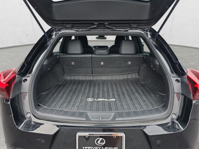 2021 Lexus UX 250h Base