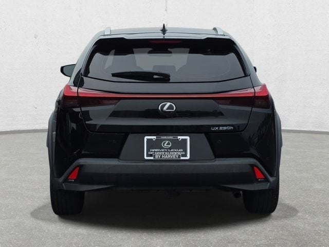 2021 Lexus UX 250h Base