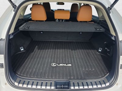 2019 Lexus NX 300 Base