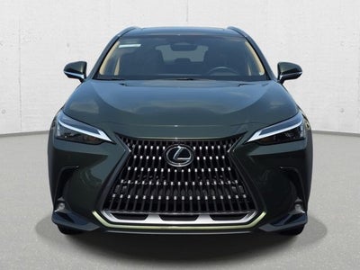 2025 Lexus NX 350h Premium