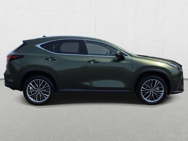2025 Lexus NX 350h Premium