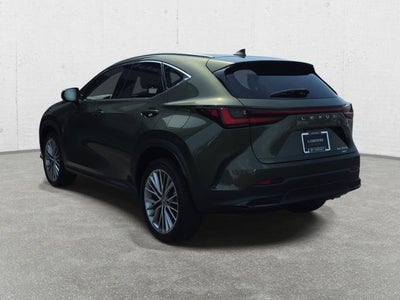 2025 Lexus NX 350h Premium