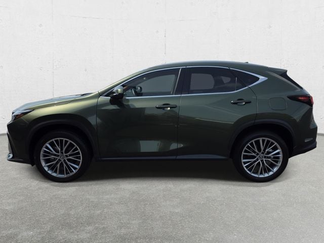 2025 Lexus NX 350h Premium