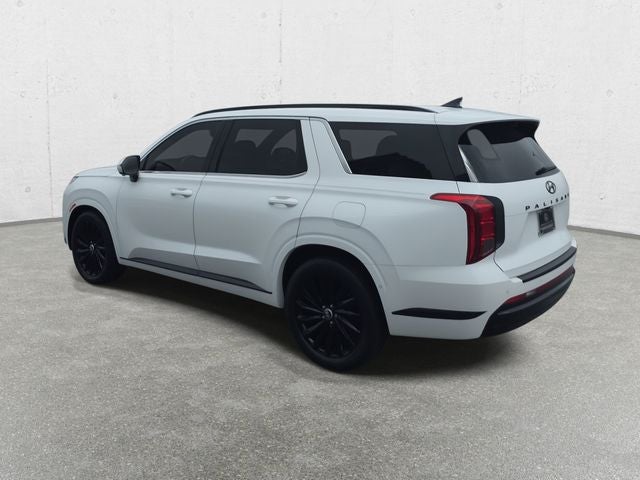 2024 Hyundai Palisade Calligraphy Night Edition