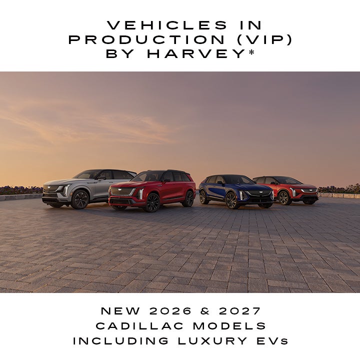 View Our VIP Vehicles