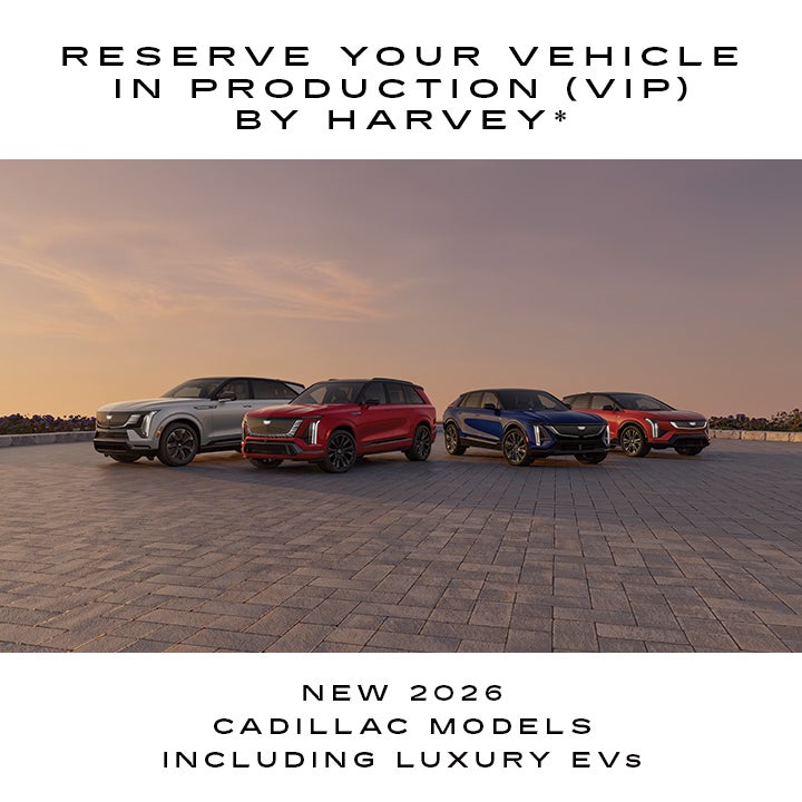 View Our VIP Vehicles